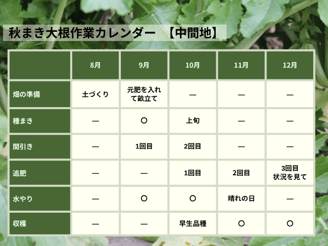 秋まき大根の年間作業スケジュール
