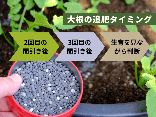 追肥のタイミング
