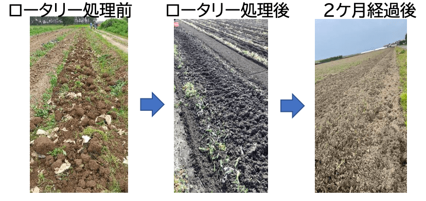 ＯＪＩサステナマルチ 土壌中の分解性(熊本県での状態確認)