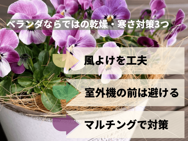 ベランダならではの乾燥・寒さ対策3つ