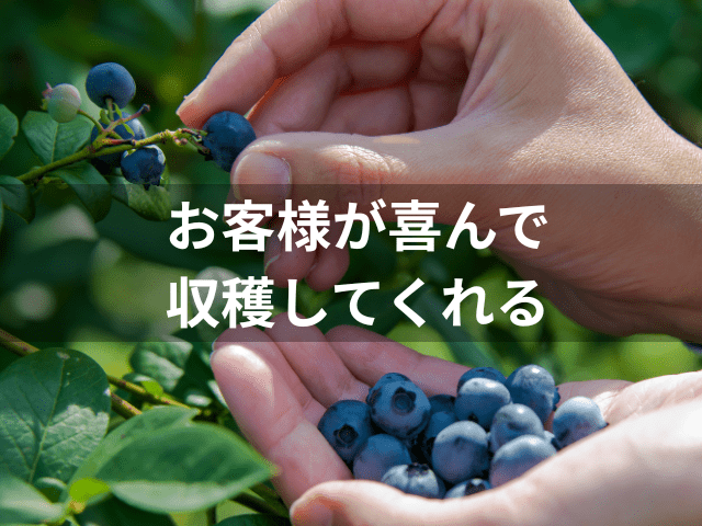 お客様が喜んで集客してくれる