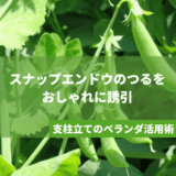 スナップエンドウのつるをおしゃれに誘引｜支柱立てのベランダ活用術