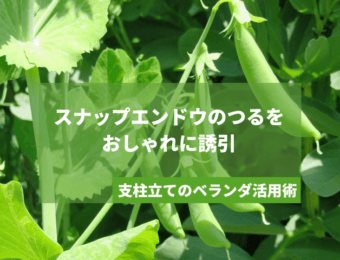 スナップエンドウのつるをおしゃれに誘引｜支柱立てのベランダ活用術