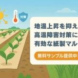 地温上昇を抑え、高温障害対策に有効な紙製マルチ