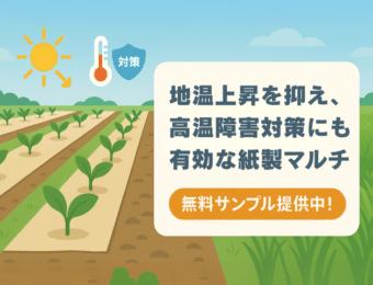 地温上昇を抑え、高温障害対策に有効な紙製マルチ