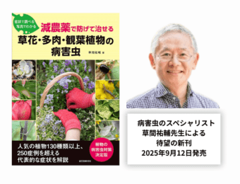 スペシャリスト