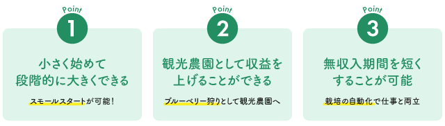 ブルーベリー農園が農業起業に向いている理由