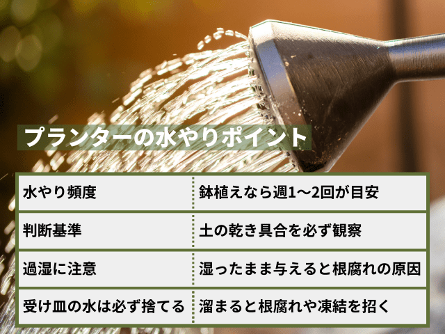 プランターの水やりポイント