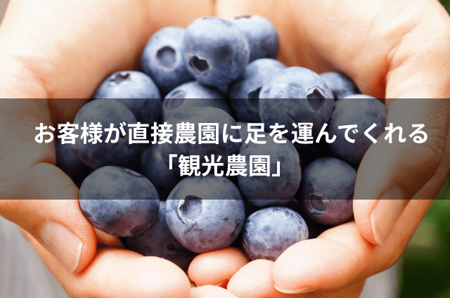 お客様が直接農園に足を運んでくれる「観光農園」