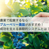 農業で起業するなら「ブルーベリー農園」がおすすめ!成功を支える画期的システムとは?