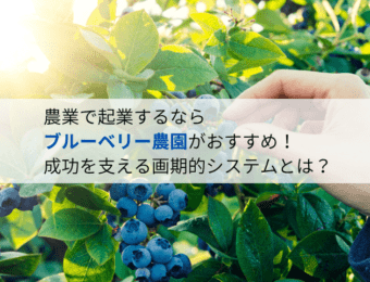 農業で起業するなら「ブルーベリー農園」がおすすめ！成功を支える画期的システムとは？