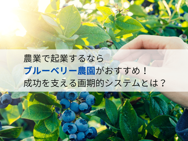 農業で起業するなら「ブルーベリー農園」がおすすめ!成功を支える画期的システムとは?