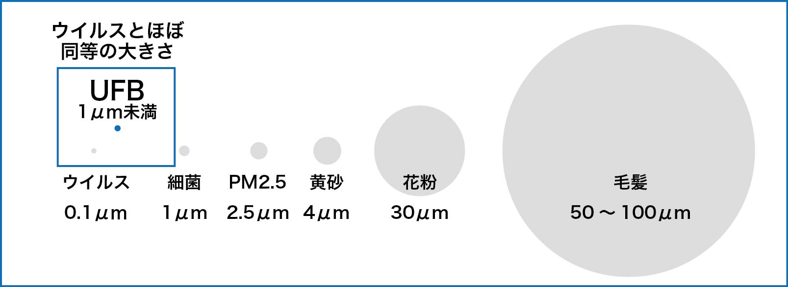 ufb泡の大きさ比較