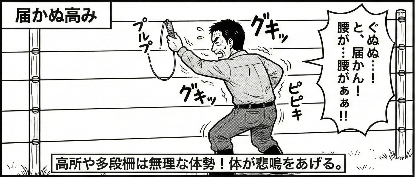 届かぬ高み