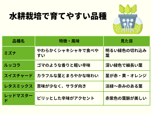 ベビーリーフとは？人気の品種と特徴