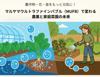 マルヤマウルトラファインバブル(MUFB)で変わる 農業と家庭菜園の未来