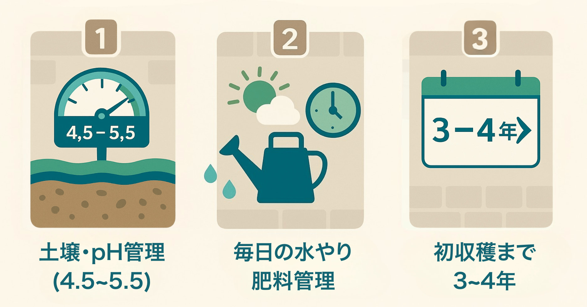 ブルーベリー栽培３つの壁