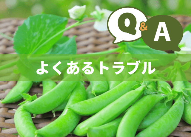よくあるトラブルQ&A