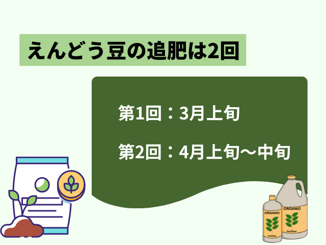 えんどう豆の追肥は2回
