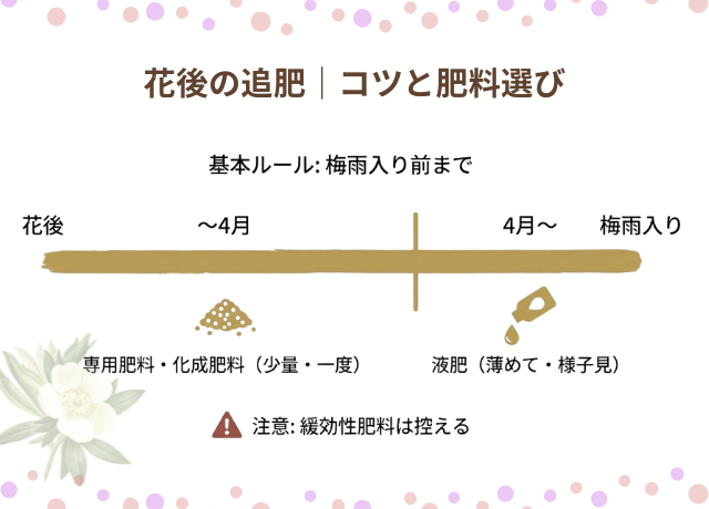 花後の追肥|コツと肥料選び