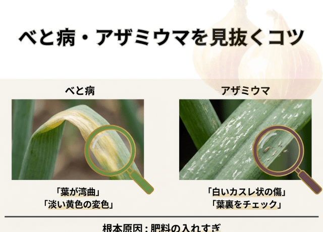 べと病・アaザミウマを2月に見抜くコツ