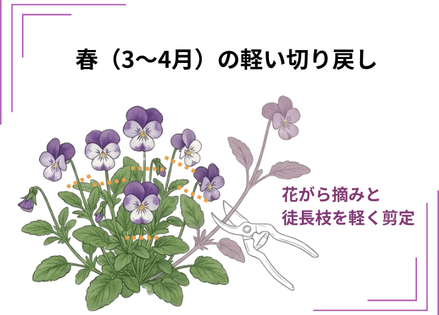 春(3〜4月)の軽い切り戻し|色と花数を維持するために
