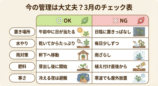 ラナンキュラス|3月の管理チェック表