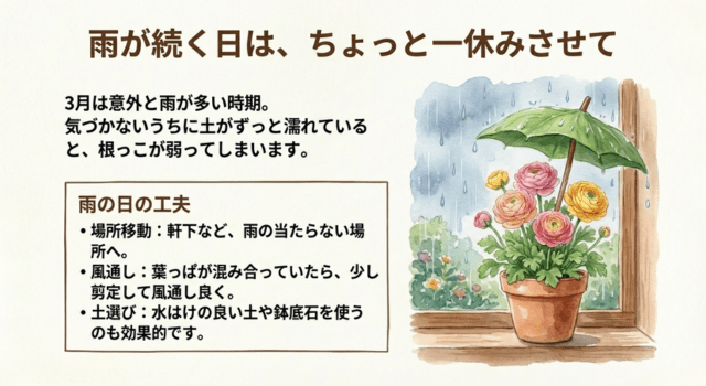 過湿対策:長雨を避けて根腐れを防ぐ