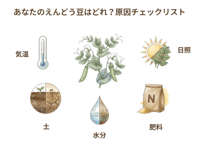 えんどうの花が落ちる主な5つの原因|管理チェックリスト