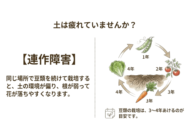 【土壌】連作障害による生育不良