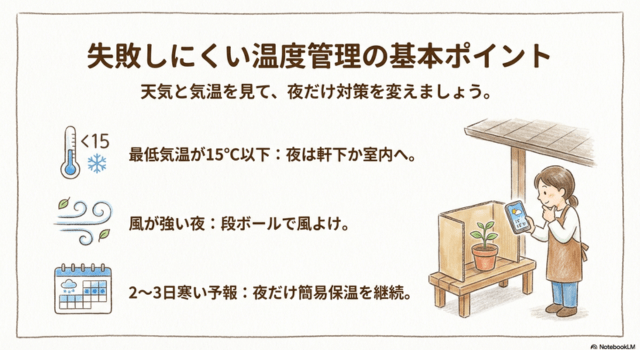失敗しにくい温度管理の基本ポイント