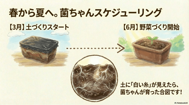 土づくりのスケジュール