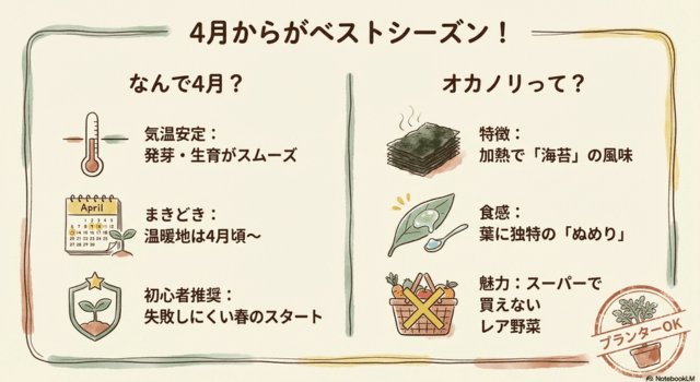 4月からがベストシーズン!オカノリが初心者に向いている理由