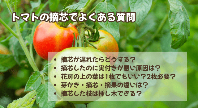 摘芯作業とその後の管理に便利なアイテム