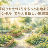 レンタルで叶える新しい家庭菜園