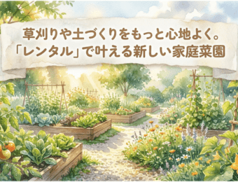 レンタルで叶える新しい家庭菜園