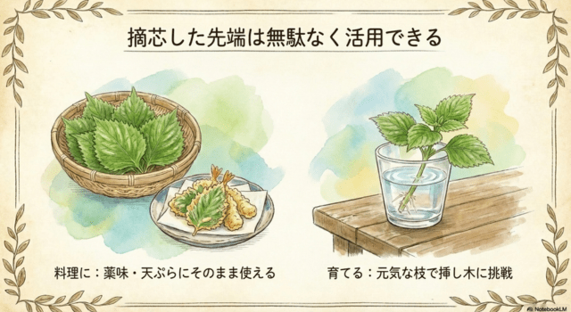 摘芯した先端は無駄なく活用できる