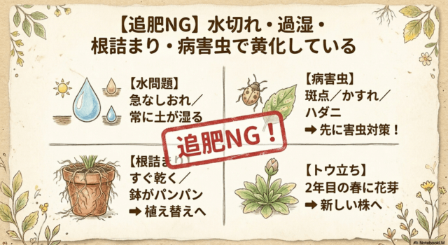【追肥NG】水切れ・過湿・根詰まり・病害虫で黄化している