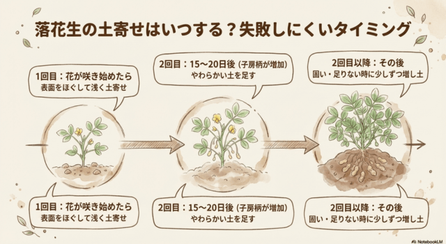 落花生の土寄せはいつする?失敗しにくいタイミング