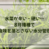 水菜が辛い・硬い…8月播種で食味を落とさない水分管理
