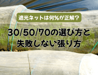 遮光ネットは何%が正解?305070の選び方と失敗しない張り方
