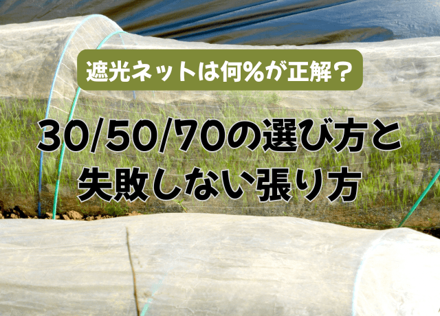 遮光ネットは何%が正解?305070の選び方と失敗しない張り方