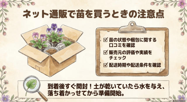 ネット通販でビオラの苗を買うときの注意点