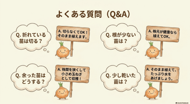 玉ねぎ苗のよくある質問
