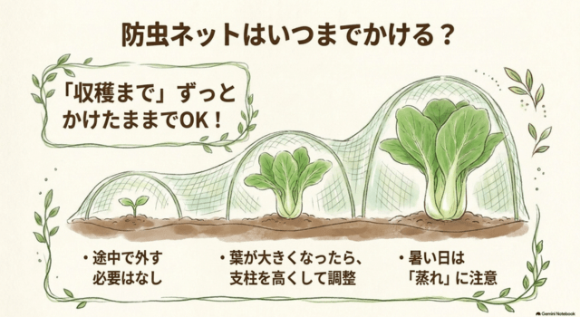 防虫ネットはいつまでかける?