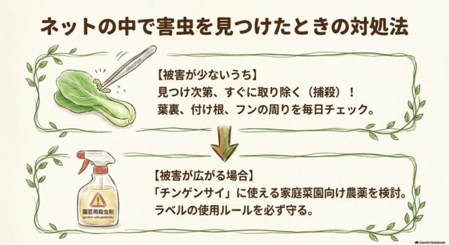 ネットの中で害虫を見つけたときの対処法