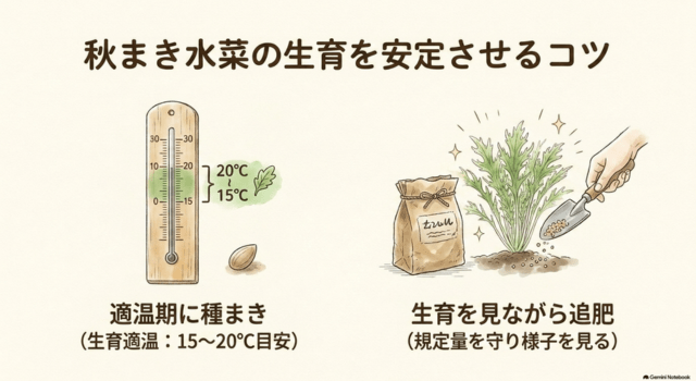 秋まき水菜の生育を安定させるコツ