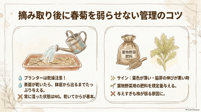 摘み取り後に春菊を弱らせない管理のコツ
