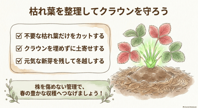枯れ葉を整理してクラウンを守ろう