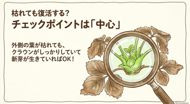 枯れ葉が多いイチゴは復活する?病気との見分け方